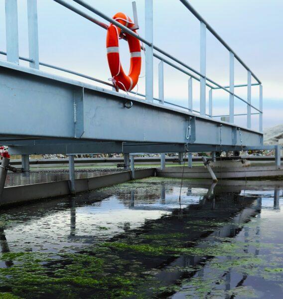 Real Decreto reutilización de las aguas 2024