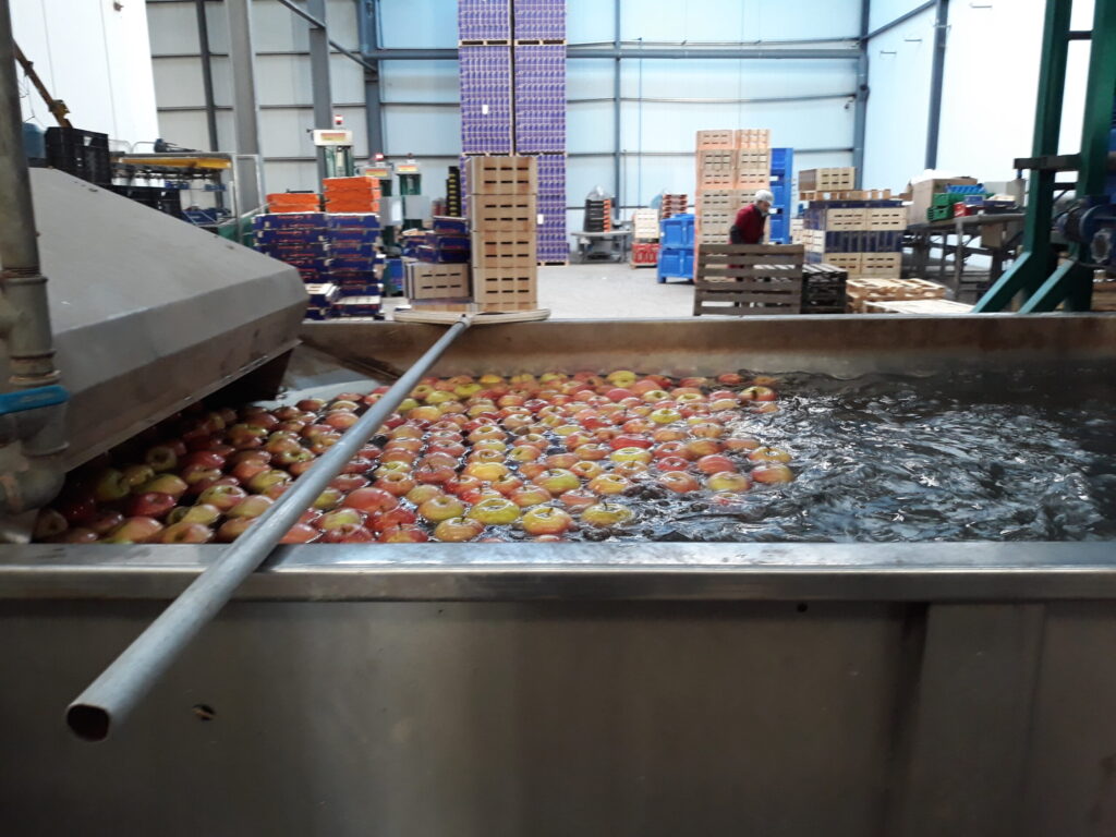 SITRA impulsa el proyecto Eolution para favorecer la reutilizacion de agua en el lavado industrial de frutas y verduras