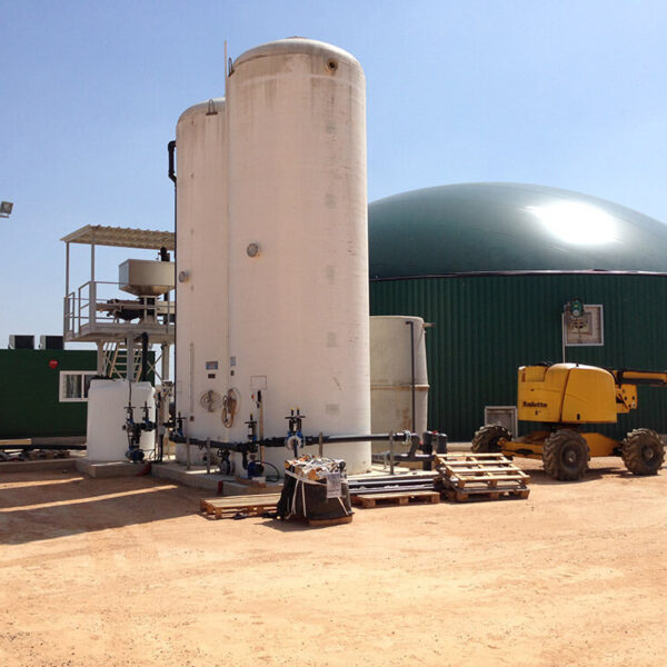 Valorización de restos vegetales y producción de fertilizantes