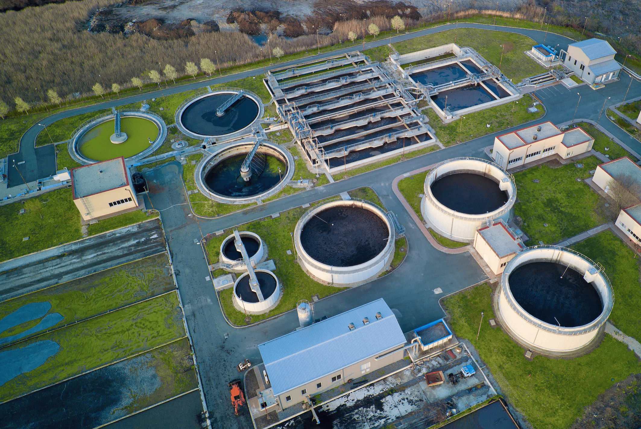 sitra investigación