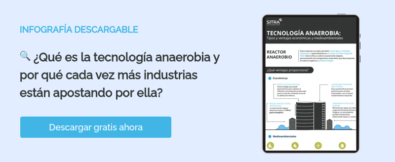 INFOGRAFÍA DESCARGABLE  